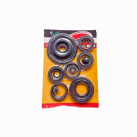 complete set of seals 24p sv m1 m1m
