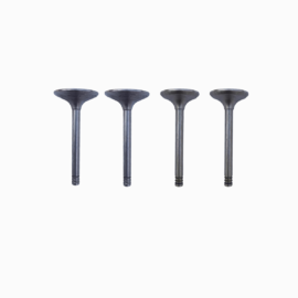 intake and exhaust valves 32p ohv m1s