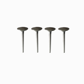 intake and exhaust valves 24p sv flat head m1 m1m